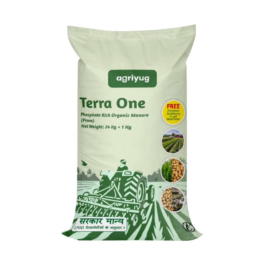 Terra One