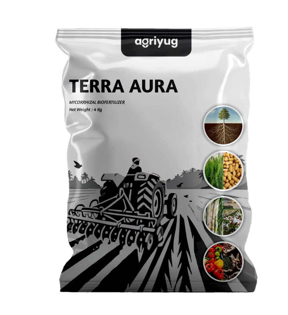 Terra Aura - G