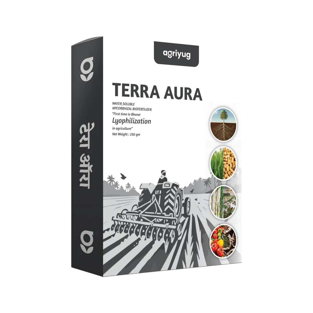 Terra Aura - WS