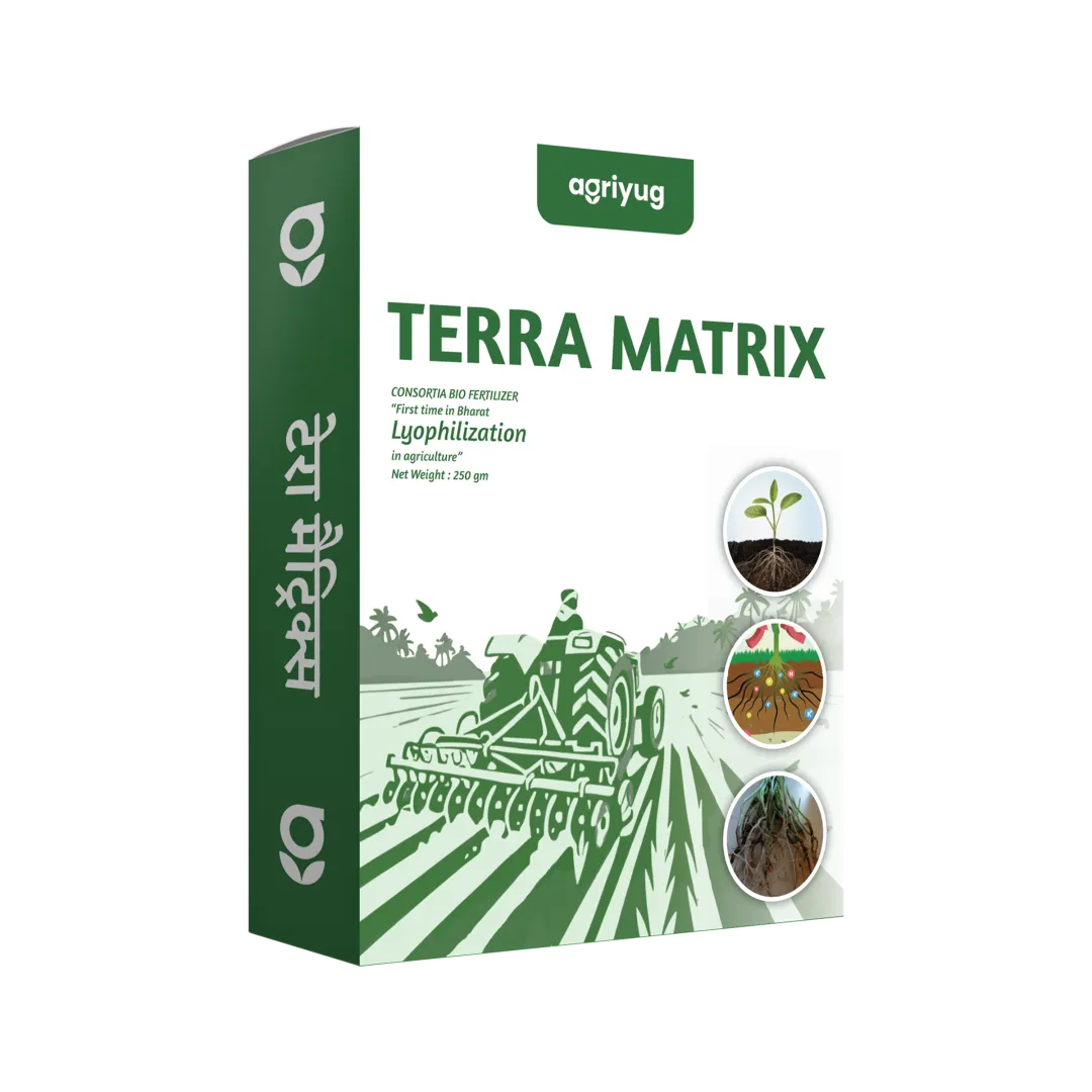 Terra Matrix