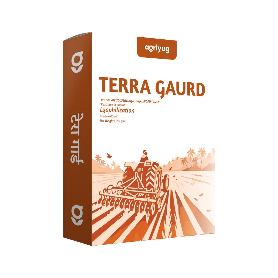 Terra Guard