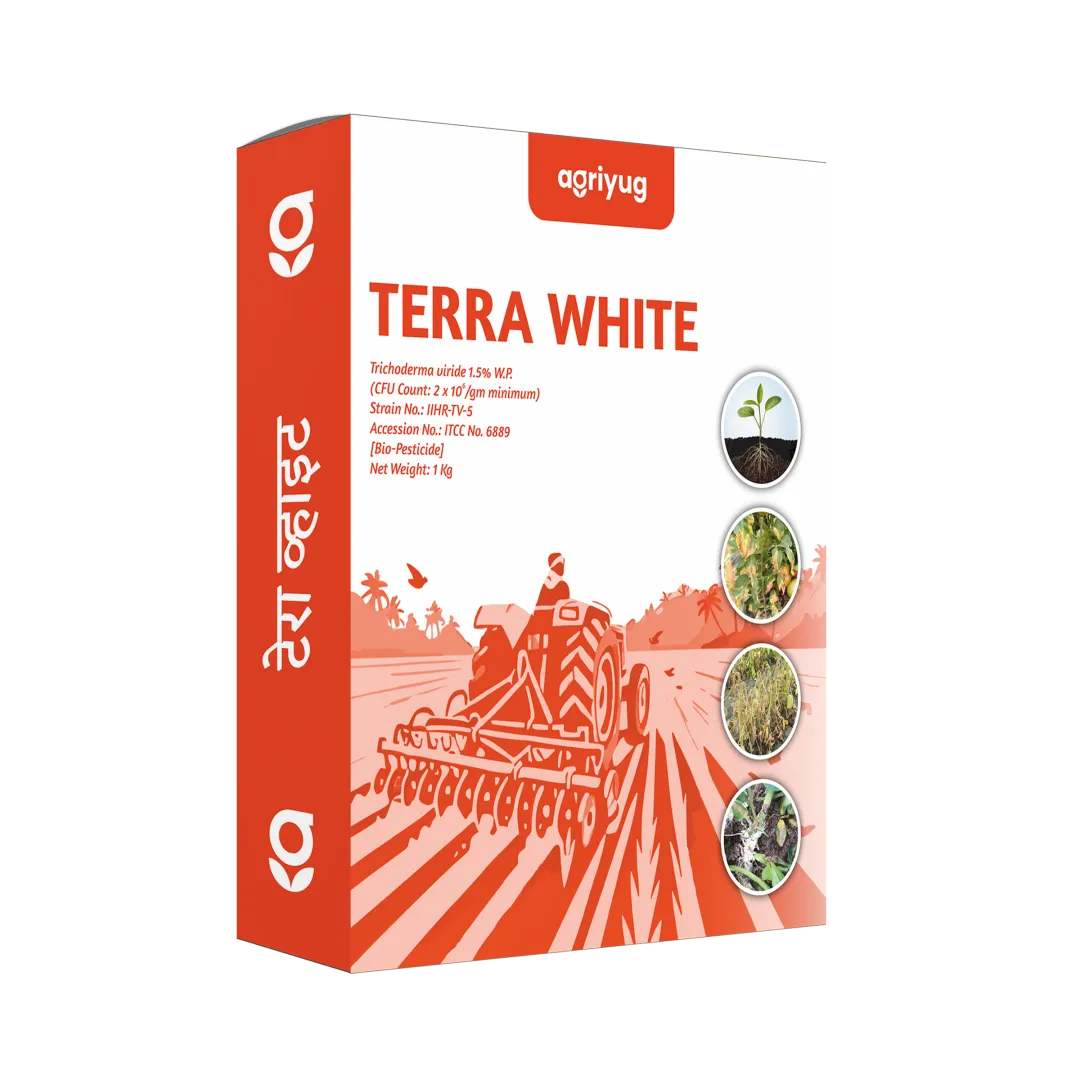 Terra White