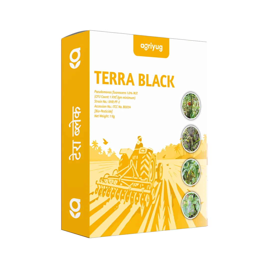 Terra Black