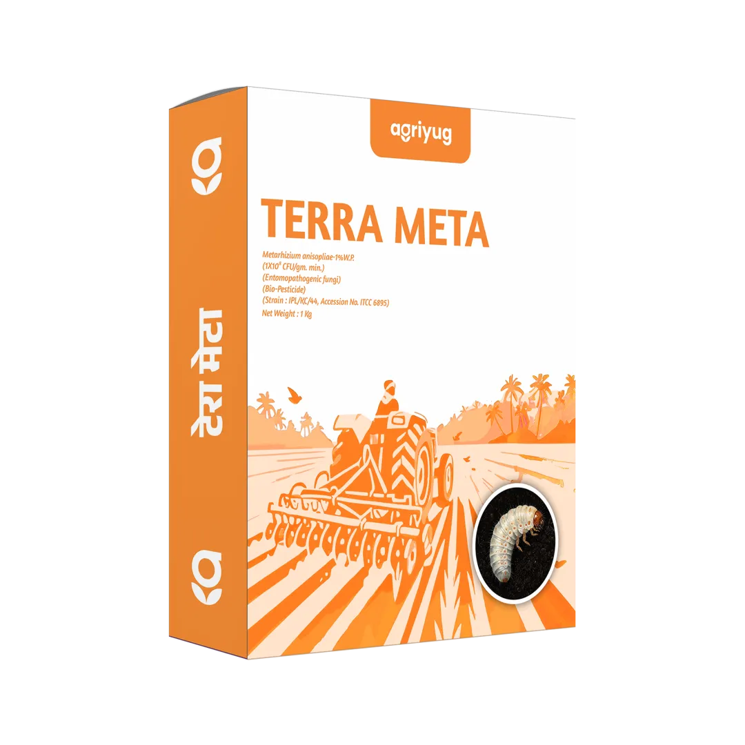 Terra Meta