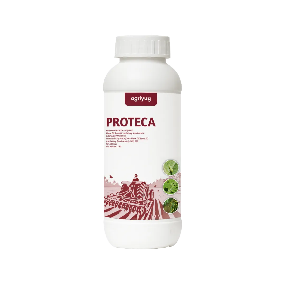 Proteca