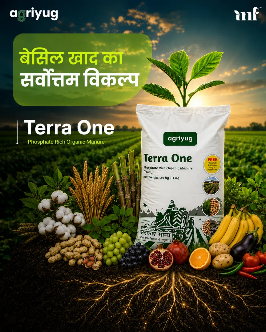 Terra one - 10.06.2026
