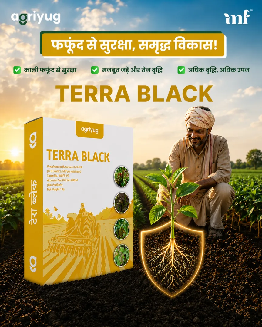 Terra Black - 16.07.2026