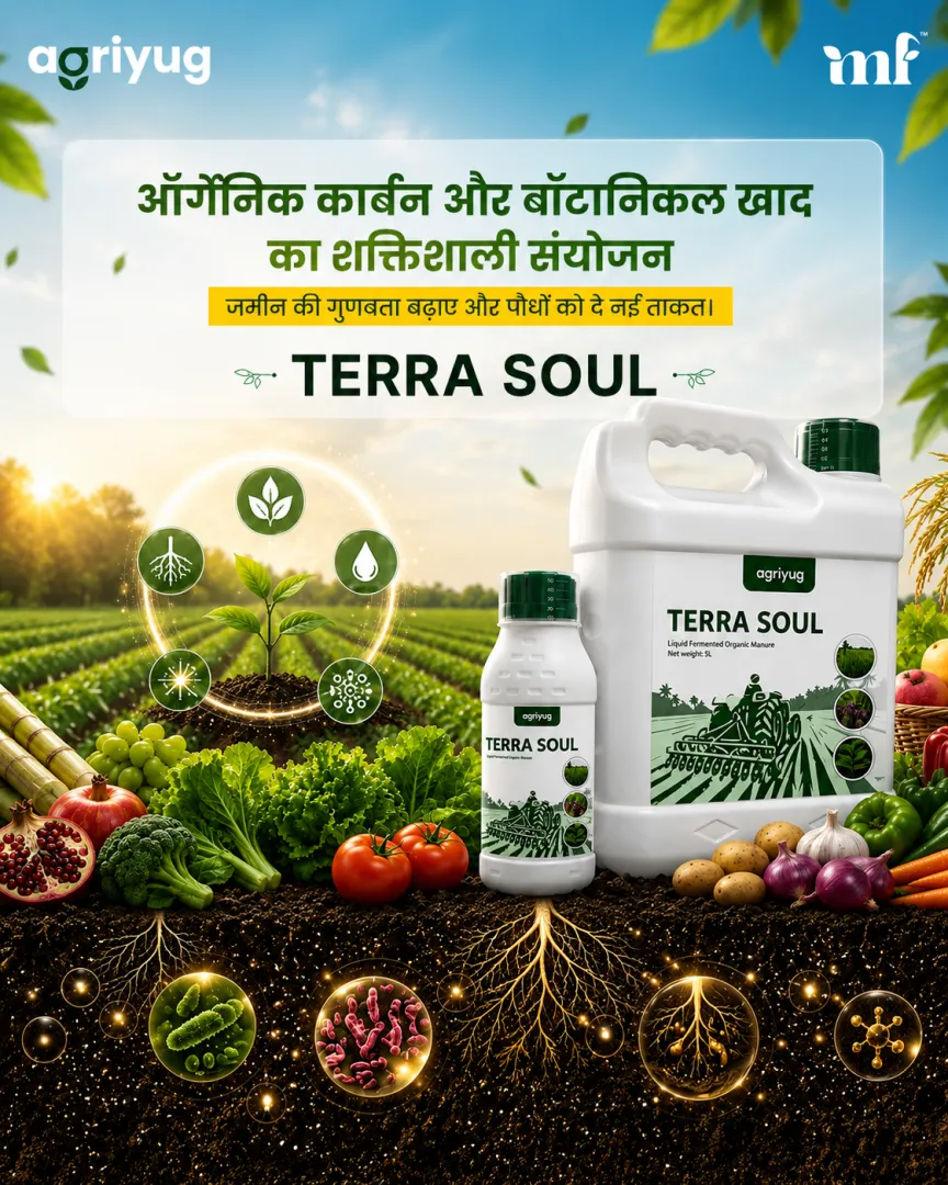 Terra Soul - 13.07.2026