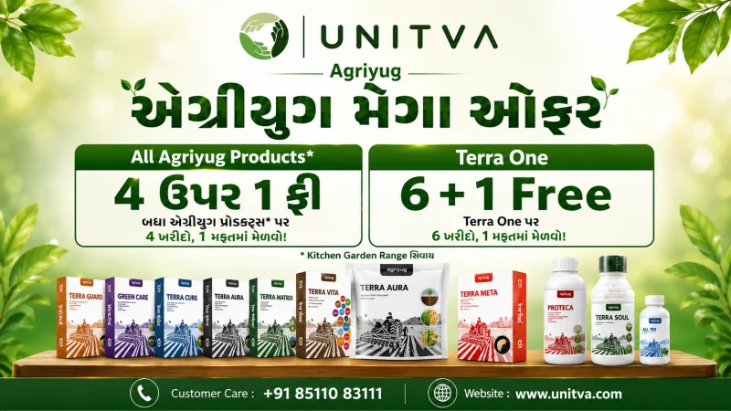 Promo Banner 1
