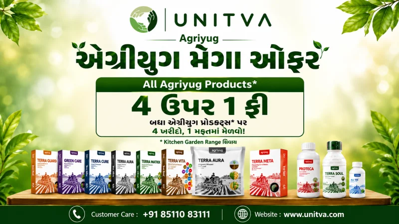 Promo Banner 1